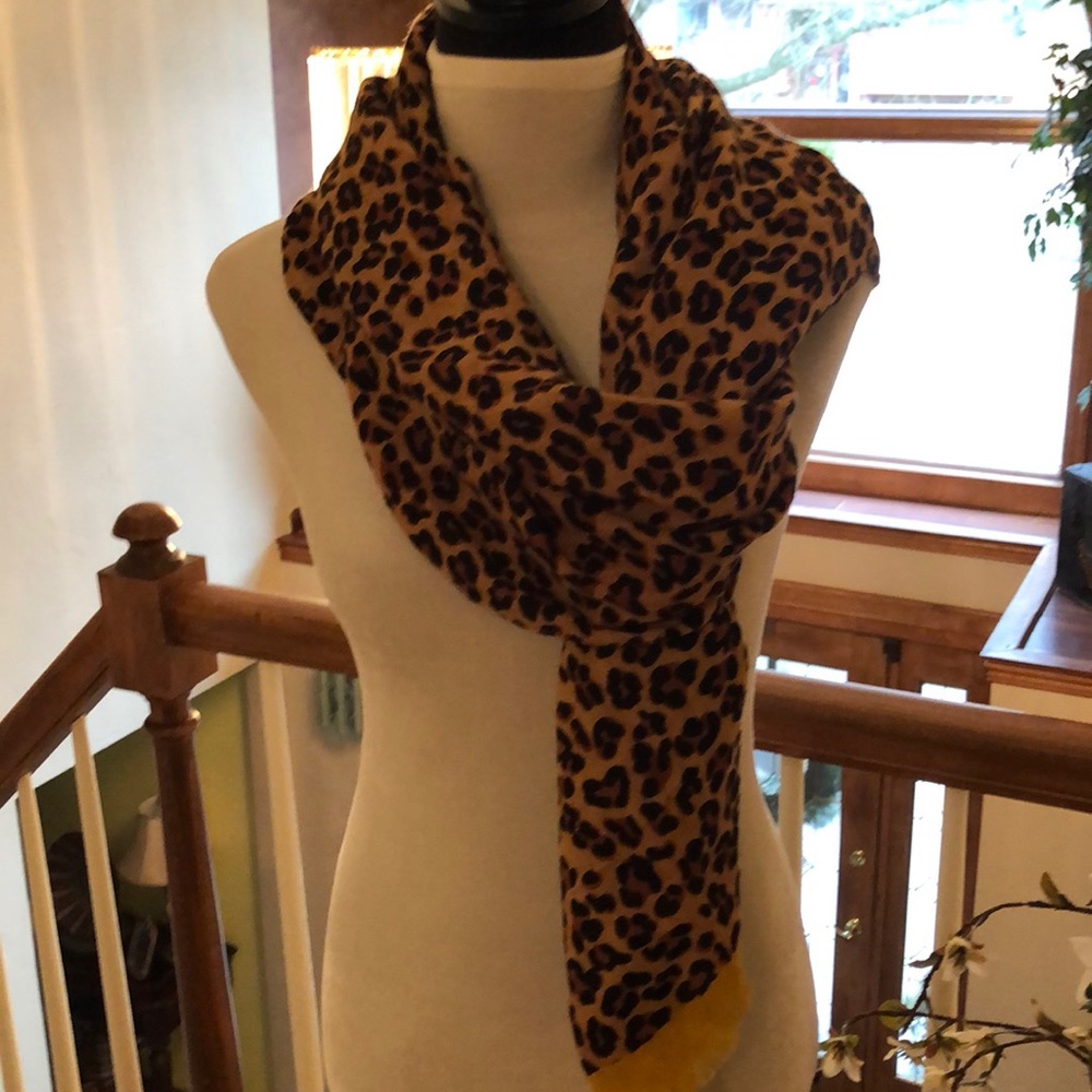Pashmina - Picture 2 of 5